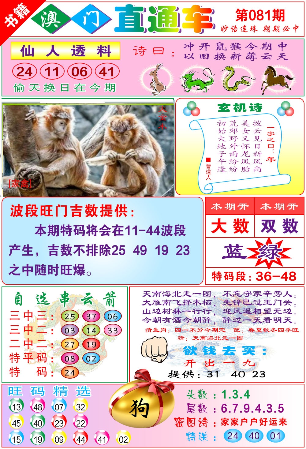 081期白姐直通车[图]